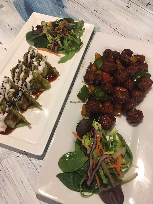 Gyoza and soy protein at Puti Vegan Cafe in Glasgow