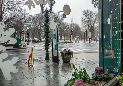 view out the window onto Chapel St and New Haven Green on a rainy early Sunday morning at Claire's Corner Copia in New Haven