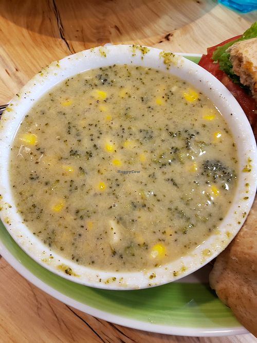 Corn Chowder with Cauliflower at Claire's Corner Copia in New Haven