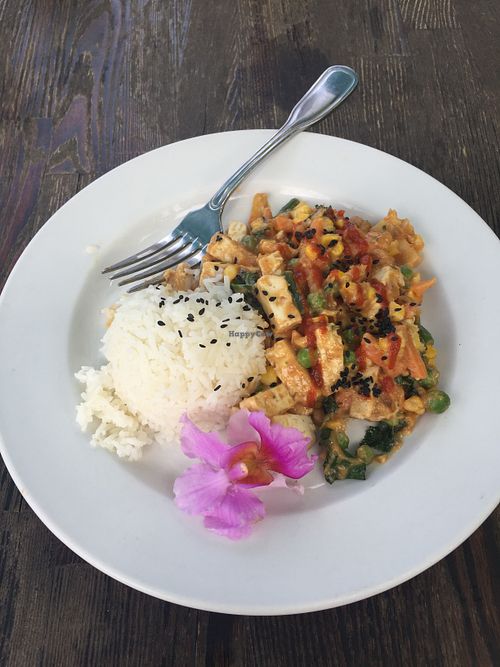 Thai peanut tofu at Russell's by Eat Healthy Kauai in Wailua
