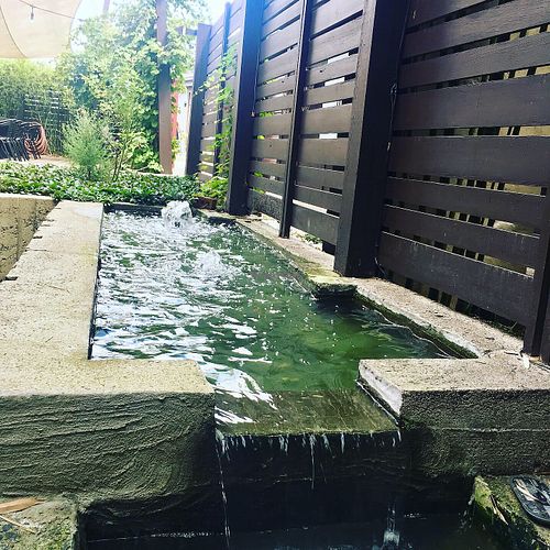 Garden  at Namu in Durham