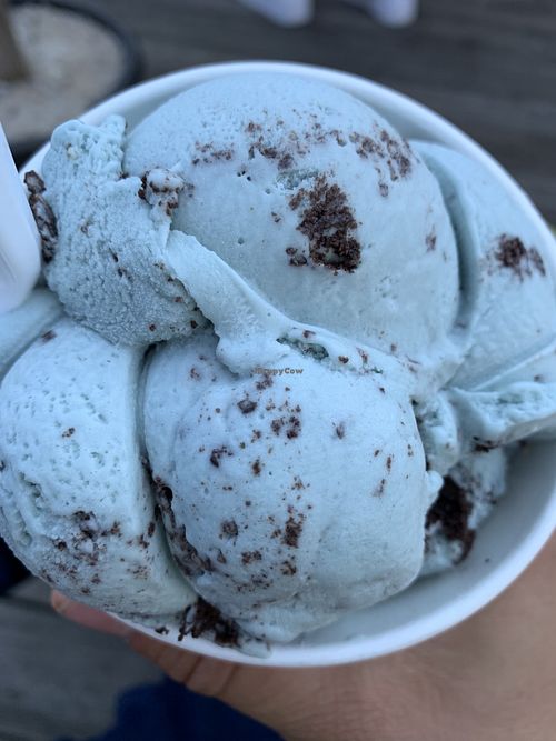 Eddie Confetti's Ice Cream Asbury Park New Jersey Ice Cream HappyCow