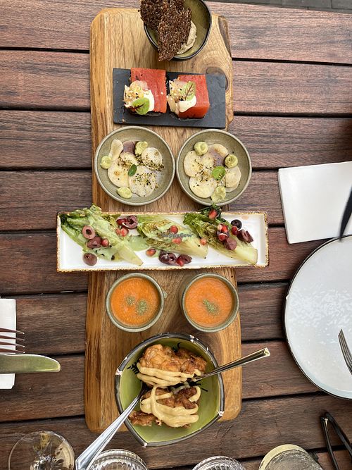   at De Levensboom in Hasselt