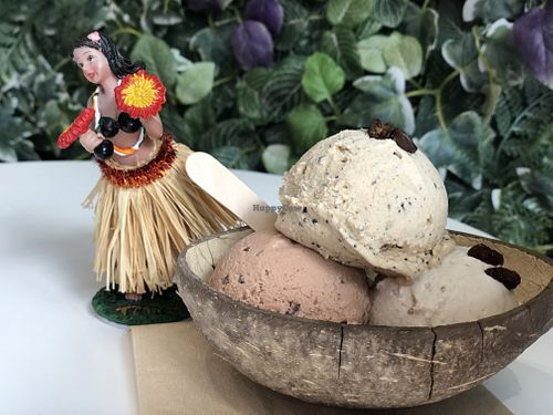 3 scoops ¥700 at Coconut Glen's in Tokyo