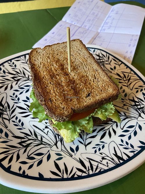 Sandwich ordered without cheese  at Smoothies in Minca