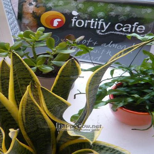 We love making wholesome, delicious food that also happens to be vegetarian and in many cases, vegan.  at Fortify Cafe in Maidstone