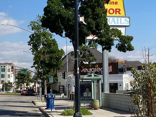Store front on corner at Veggie Grill by Next Level in Burbank
