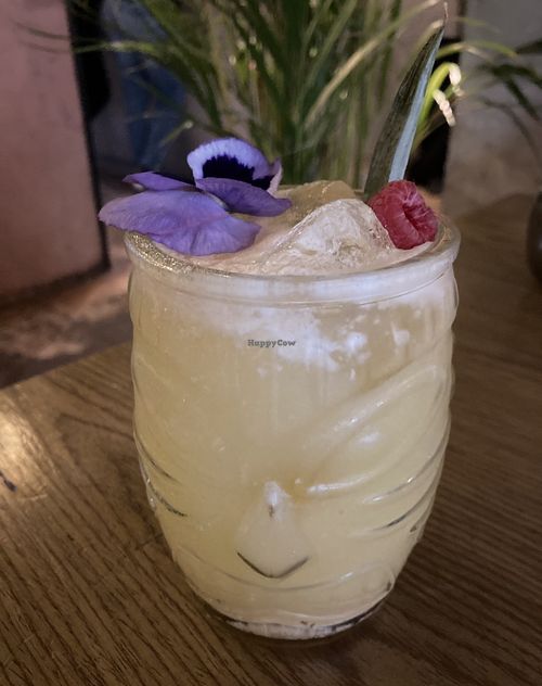 Mai Tai  at Plantasia in Mexico City