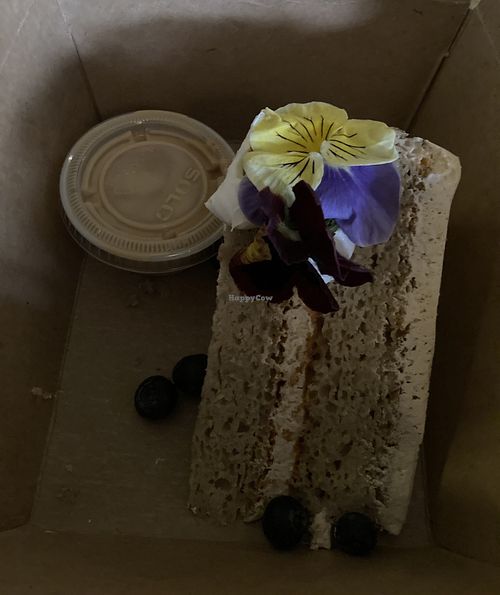   at Plantasia in Mexico City