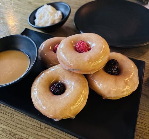 Taro donatusu   at Plantasia in Mexico City