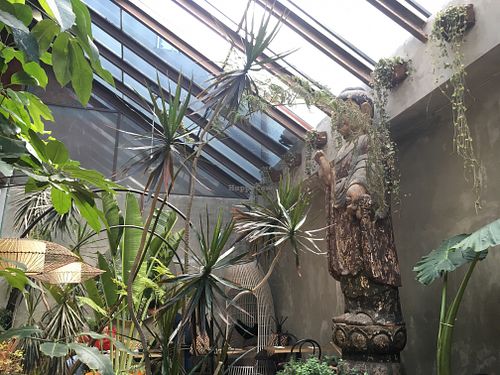 Patio del restaurante  at Plantasia in Mexico City