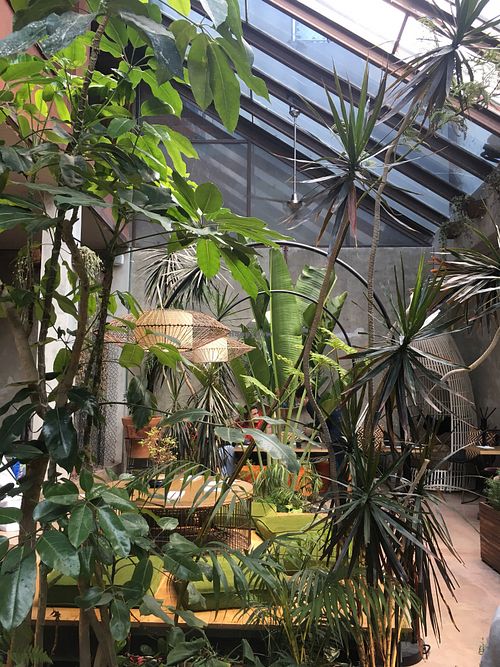 Patio del restaurante  at Plantasia in Mexico City