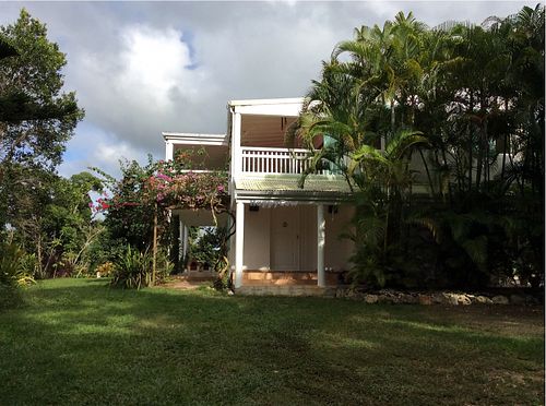 La Case Miel Vanille is lost in the deep forest of Grands Fonds. at La Case Miel Vanille in Sainte-anne