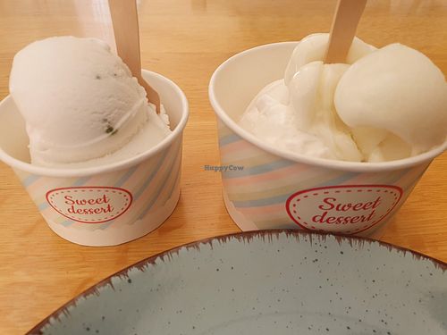 Coconut basil ice cream (sooo good!), and lemon ginger with coconut basil too 😋 at Gianni in Dubrovnik