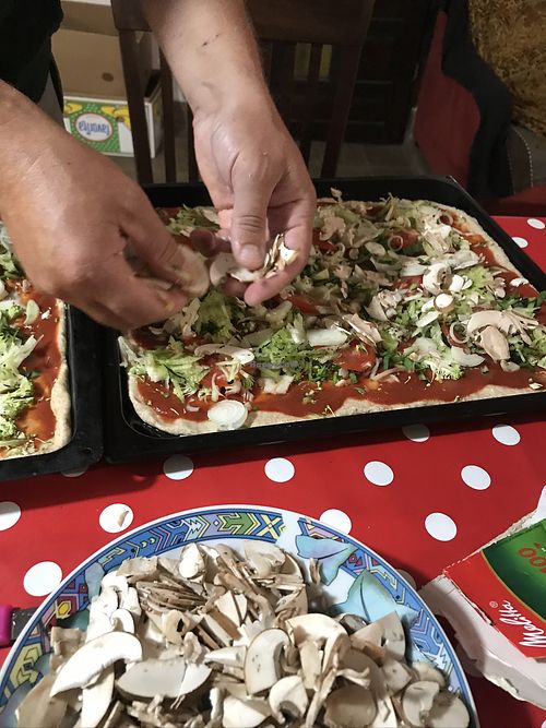 Vegan Meal served by the hosts!  at Barabrith in Donji Budacki