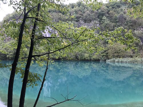 The National park in the region at Barabrith in Donji Budacki