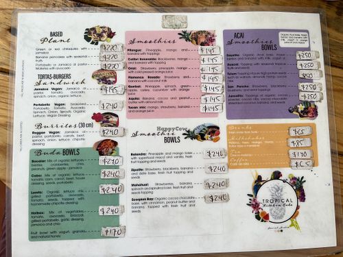The vegan menu  at Tropical Kitchen Cabo in Cabo San Lucas