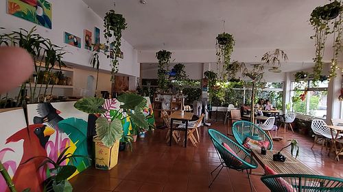  at Tropical Kitchen Cabo in Cabo San Lucas