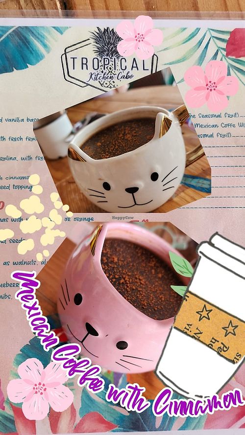  at Tropical Kitchen Cabo in Cabo San Lucas