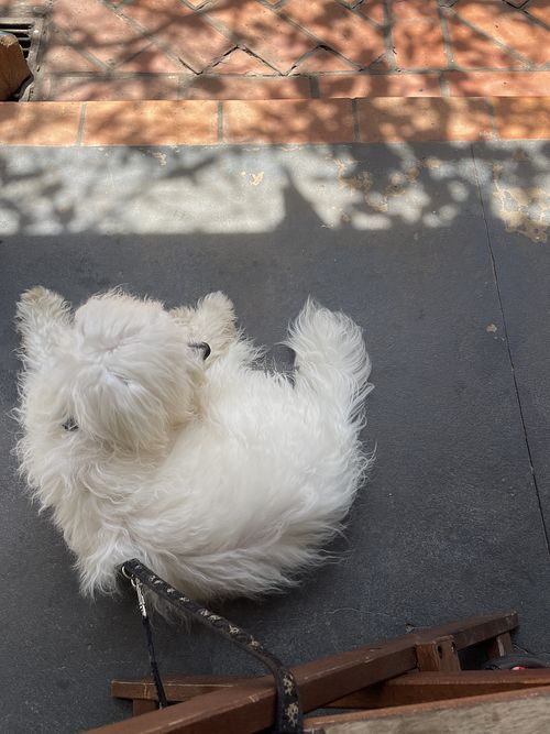   at Eco Tienda Café in Asuncion