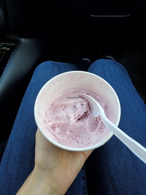  at No Udder in Cambridge