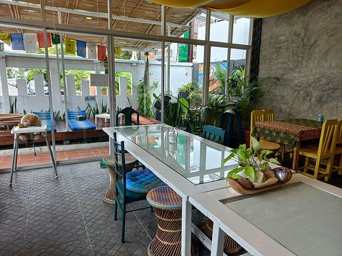 Renovated space at Free Bird Cafe in Chiang Mai