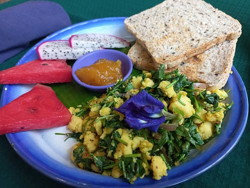 Chickpea scramble set at Free Bird Cafe in Chiang Mai