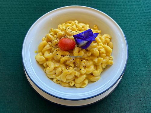 Mac n Cheeze at Free Bird Cafe in Chiang Mai