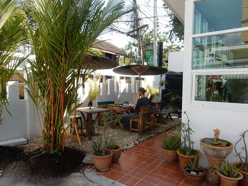 Garden area (dogs allowed) at Free Bird Cafe in Chiang Mai