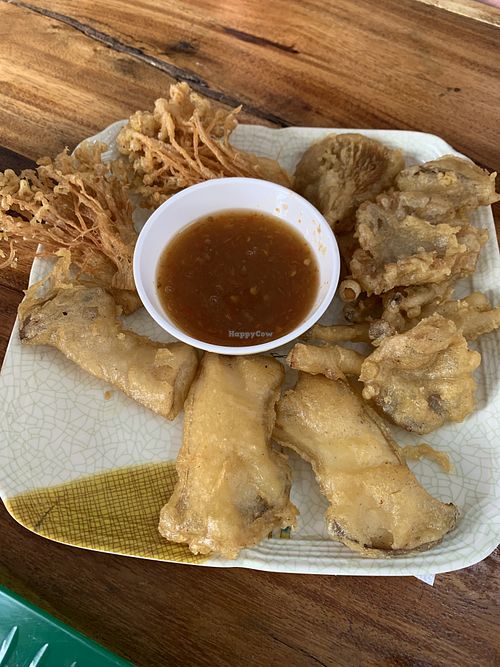 Fried mushroom plate - highly recommend at CMU Vegan - Kinphak Cafe in Chiang Mai