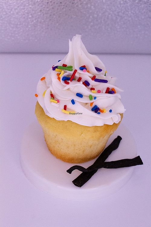 Classic Vanilla at Sarasota Bakehouse in Sarasota