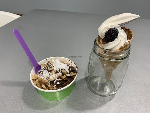 Yummy frozen yogurt options at Emmy's Frozen Yogurt in Knoxville