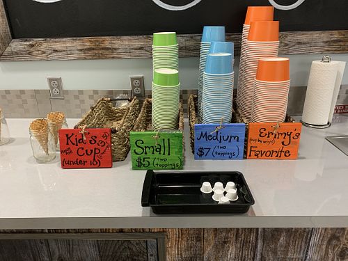 Different sizes/ways to enjoy them at Emmy's Frozen Yogurt in Knoxville