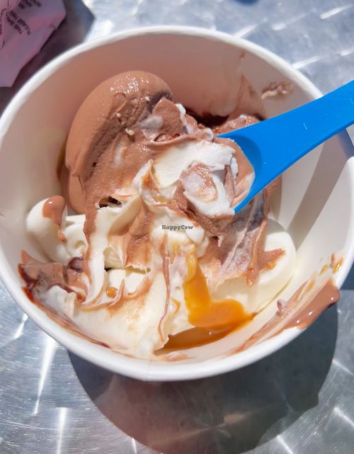 Vegan chocolate & vanilla frozen yogurt   at 16 Handles in Stamford