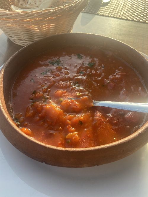 Stew. Einfache Tomatensauce.   at Palm Court in Wadi Musa