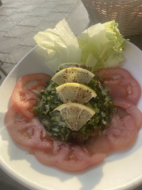   at Palm Court in Wadi Musa