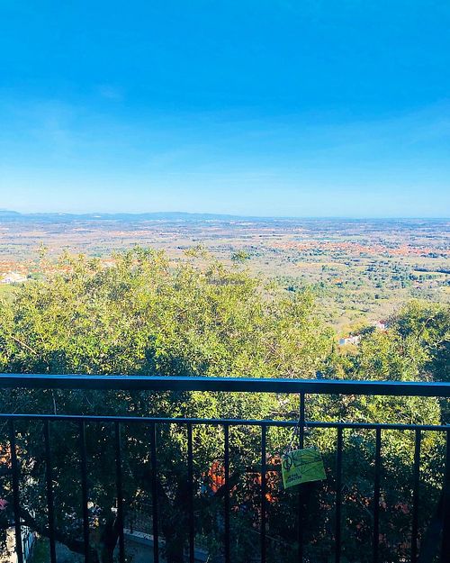 The view at Studio Vert  in Laroque-des-alberes