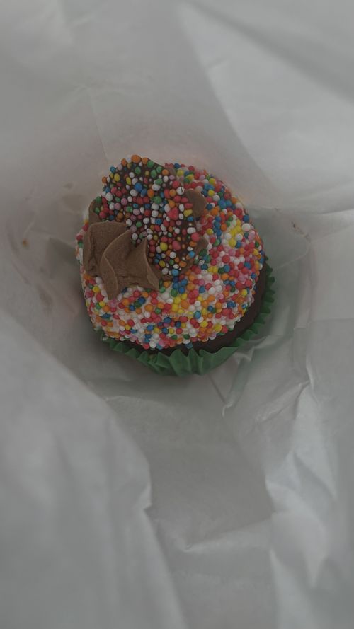 Choc freckle cupcake   at Claire's Cupcakes in Charlestown