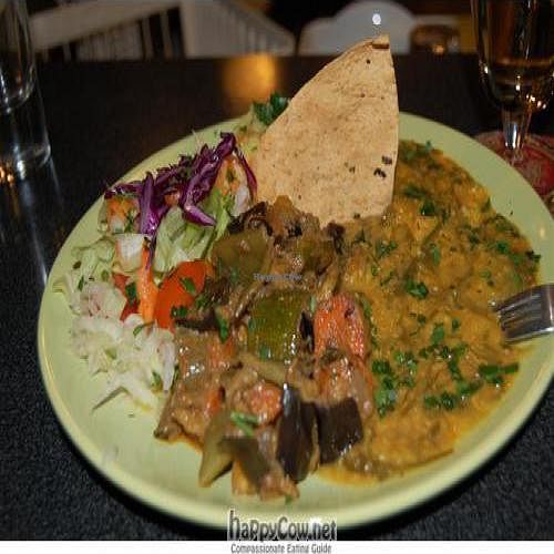 Plate of the day with salad, lentil curry, vegetable stew and rice at Landia in Vienna