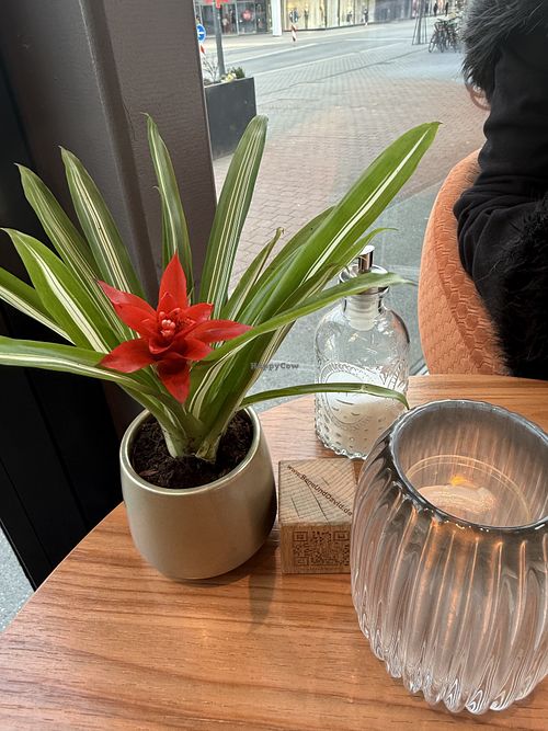 table  at Ludwigs in Tubingen