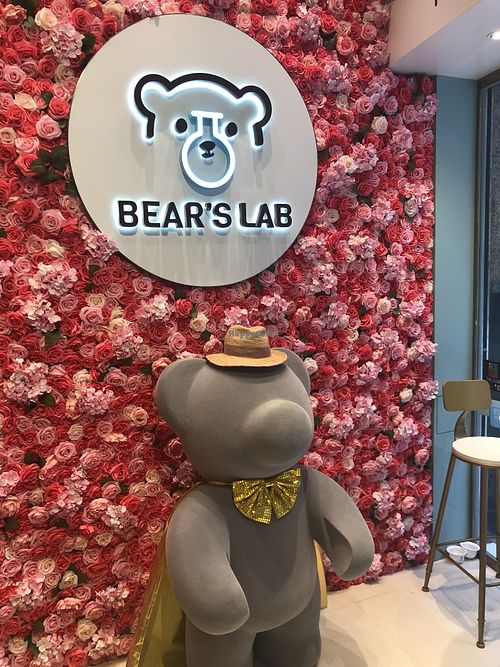 Cute  at Bear's Lab in Hong Kong Island