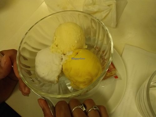 Coconut mango & durian ice creams at Loving Hut in Paris