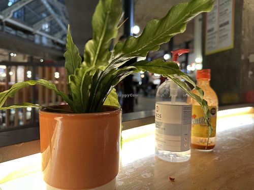 decoration  at Club Mexicana - Seven Dials in London