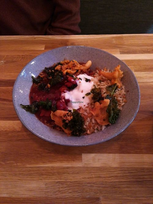 Beetroot bourguignon at Vertigo - Jack Rosenthal in Manchester