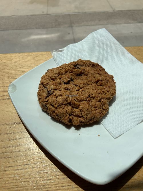 They had a vegan cookie and a muffinn  at Dessert Oasis Coffee Roasters in Detroit