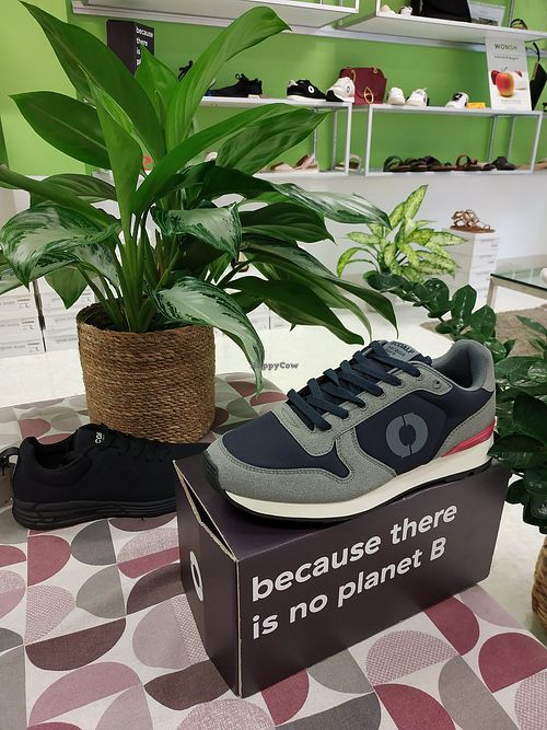 Recycled Sneakers at Vegan Shoes Italy in Cittadella