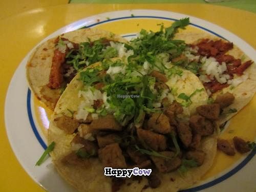 variety of faux-meat tacos at Gold Taco in Mexico City
