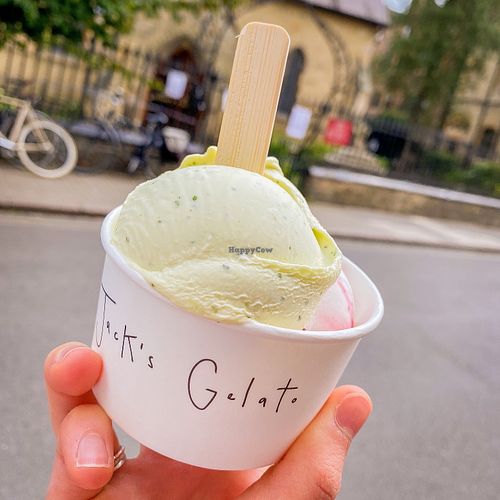 two DREAMY scoops vegan ice cream: one passion fruit and basil, other root ginger and blackcurrant swirl at Jack's Gelato in Cambridge