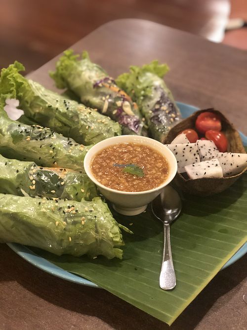 Vegan summer rolls with peanut sauce  at Mr Green in Chiang Mai