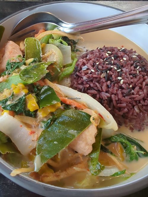 red curry with red rice at Mr Green in Chiang Mai